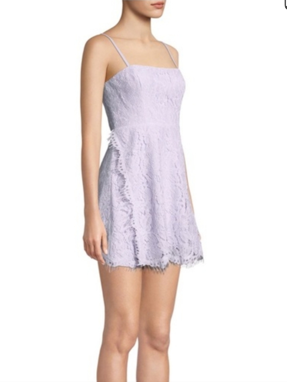 Fame And Partners The Fiona Corded Lace Mini Cocktail Dress Sz 8